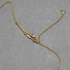 Tomfoolery Solanales Gold Crystal Orbit Necklace Best