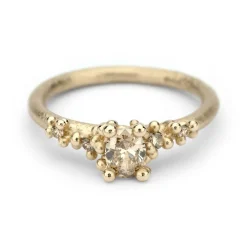 Tomfoolery Solitaire Champagne Diamond Encrusted Ring Online