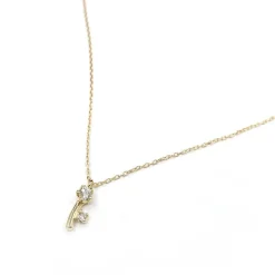 Tomfoolery Stem Of Flower Necklace with White Diamond Fashion