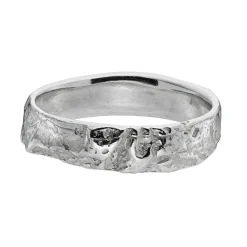 Tomfoolery Subtle Oak Ring in Silver Outlet