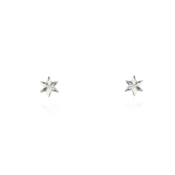 Tomfoolery Tiny Silver Star Studs Online