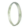 Tomfoolery Titanium Bangle Discount