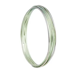Tomfoolery Titanium Bangle Discount