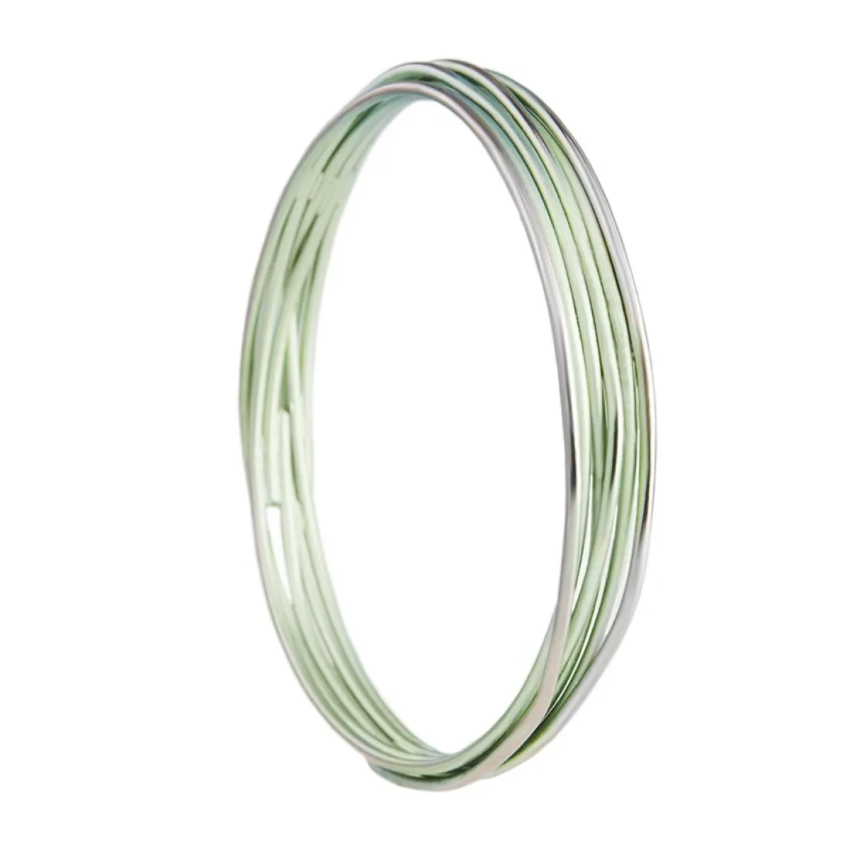 Tomfoolery Titanium Bangle Discount