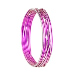 Tomfoolery Titanium Bangle Discount
