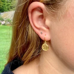 Tomfoolery World Coin Earrings in Gold Vermeil Hot